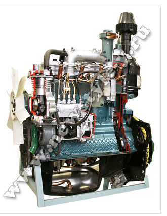 Двигатель дизельный трактора МТЗ-80-82 с навесным оборудованием (агрегаты в разрезе)