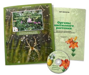 Электронное наглядное пособие «Органы цветкового растения»