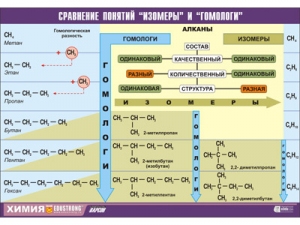 Таблица демонстрационная "Сравнение понятий изомер и гомолог" (винил 70×100)